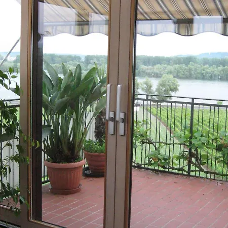Alte Rheinblick