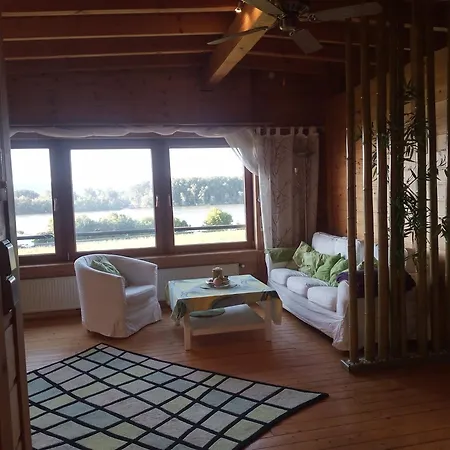 Alte Rheinblick * Oestrich-Winkel